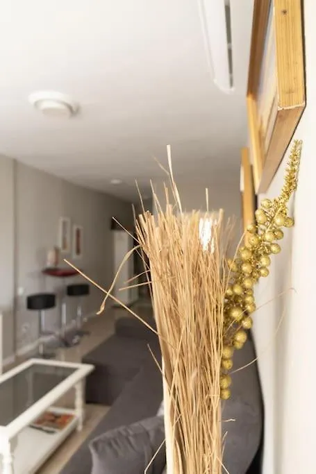Casa Chari Apartment Cadiz